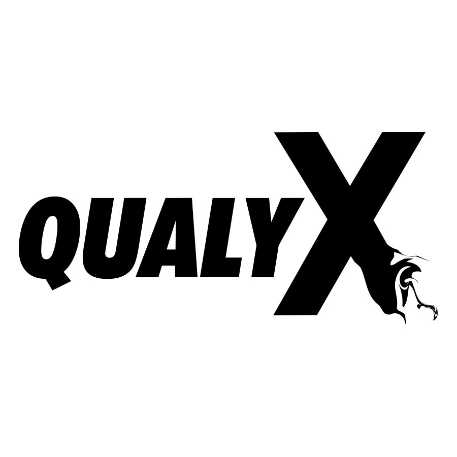 Logo - QualyX